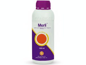 مریل