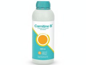 کارنیتین ب
